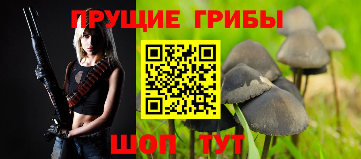 Узловая  Галлюциногенные грибы MAGIC MUSHROOMS  Галлюциногенные грибы Psilocybe  Вход с VPN 